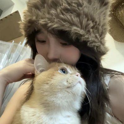 新东京猫猫