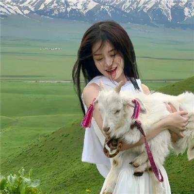 狗纹龙爸爸